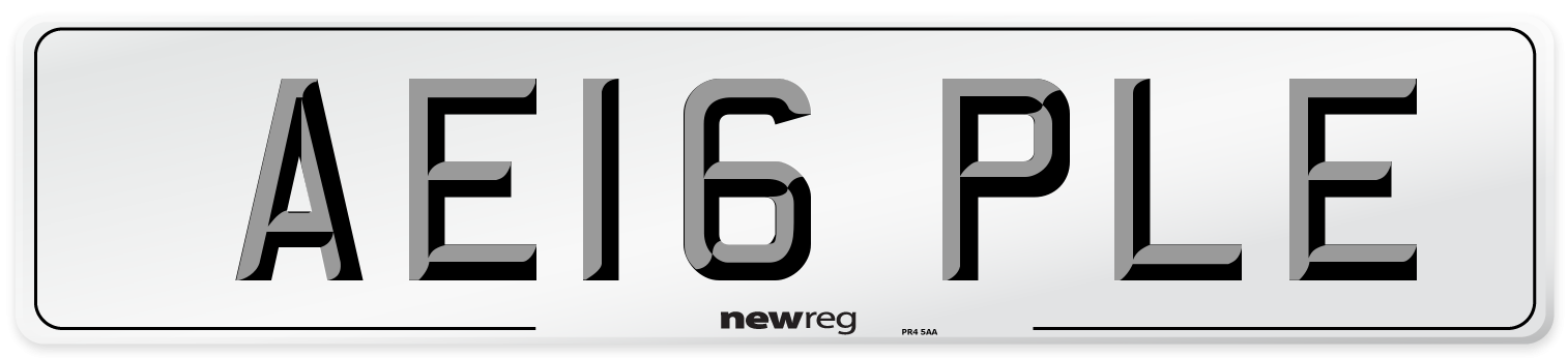AE16 PLE Number Plate from New Reg